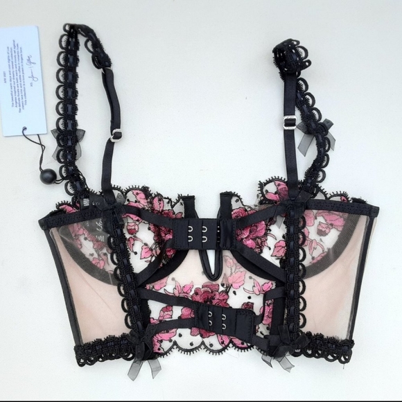 🍋For Love and Lemons Juliet Embroidered Mesh Bustier Bra - Picture 6 of 10